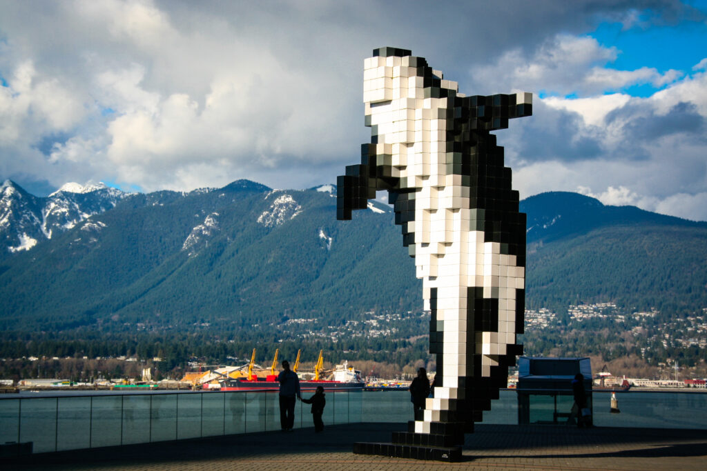 Digital Orca | Homes Almanac