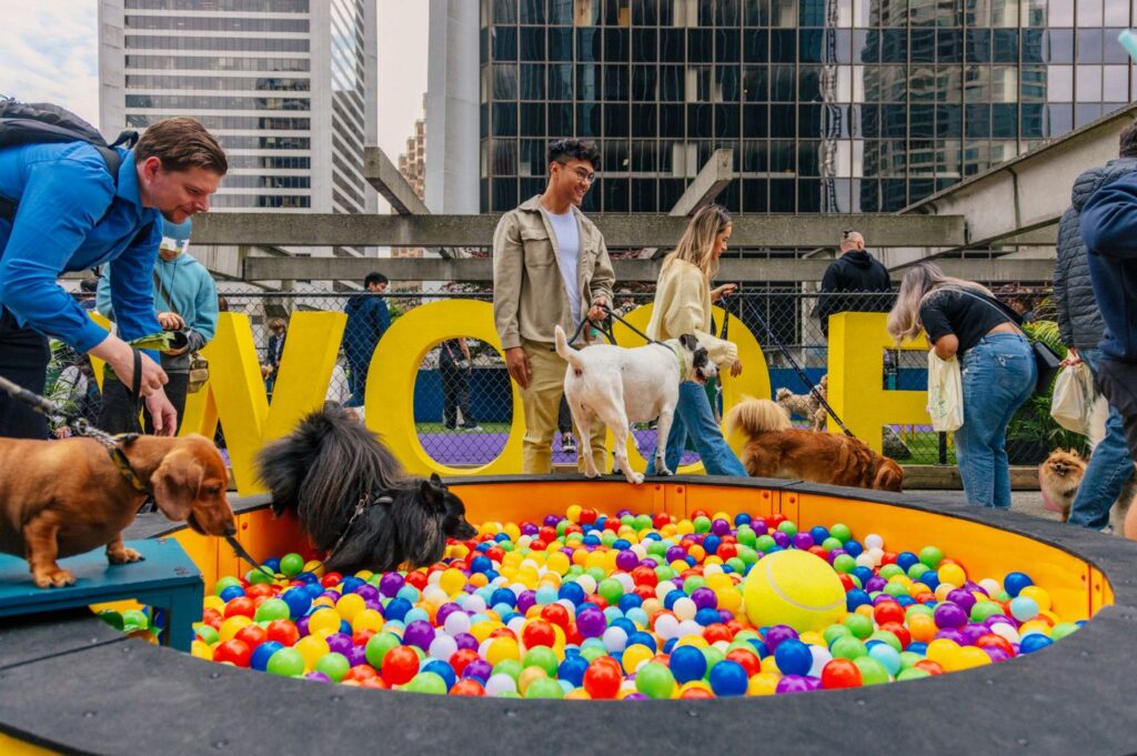 Dunsmuir Patio Vancouver | Photo of Bark Park event | Homes Almanac