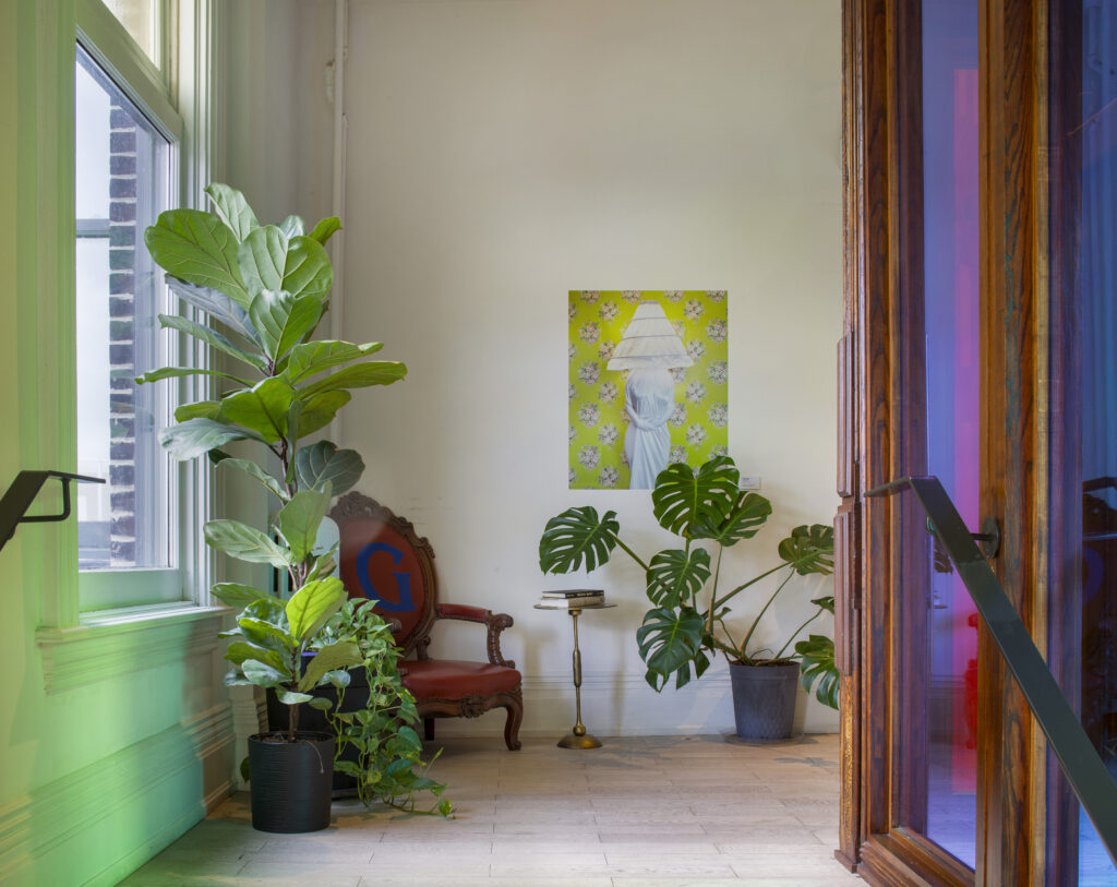 Art at Gladstone House | Brightly lit corner showcasing art with indoor plants and a chair | Homes Almanac