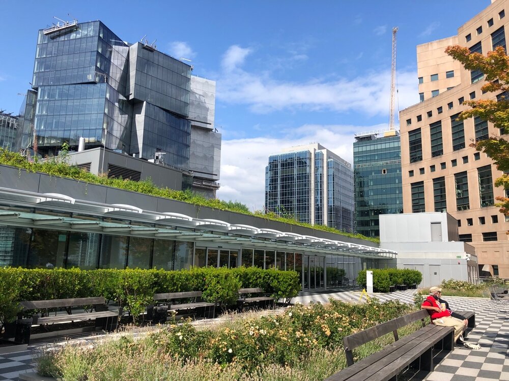 Vancouver Public Library Central Branch | Photo of rooftop patio landscaping | Homes Almanac