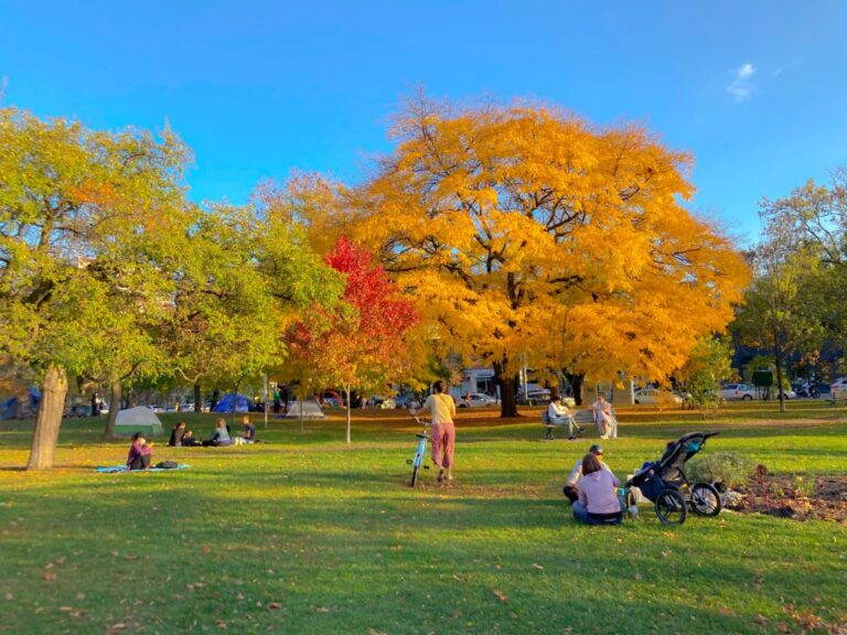 Trinity Bellwoods Park
