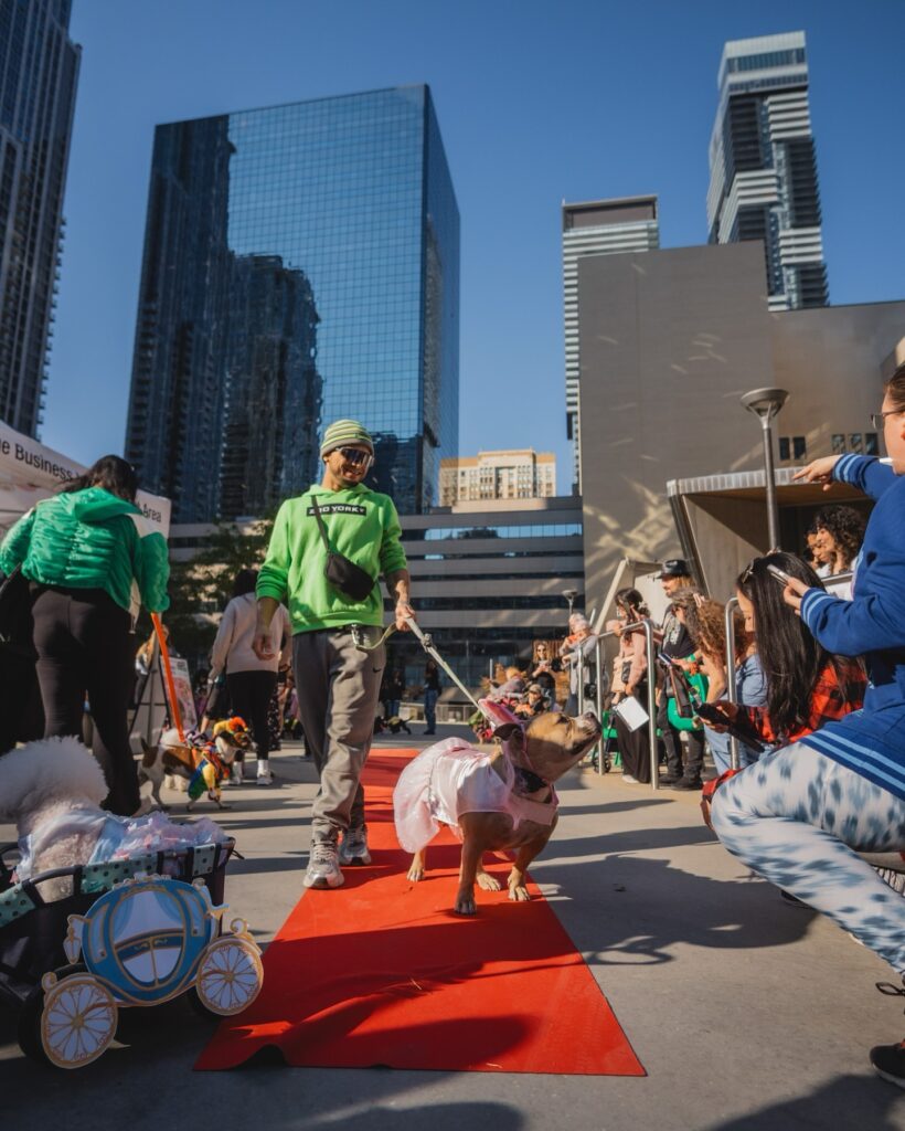 Canoe Landing | A doggie pawgeant show with dogs in costumes and people taking photos Homes Almanac