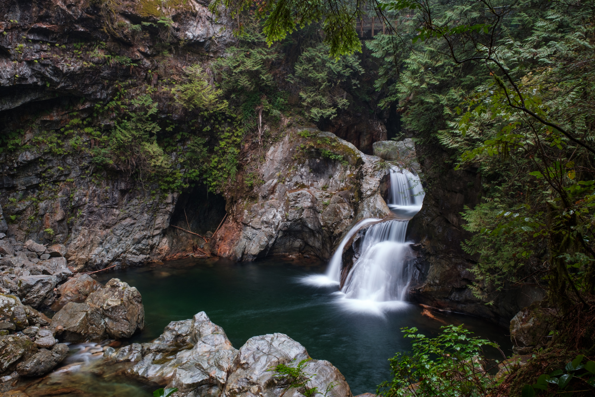 Connect to Nature Within 30 Minutes of Downtown Vancouver | Homes Almanac