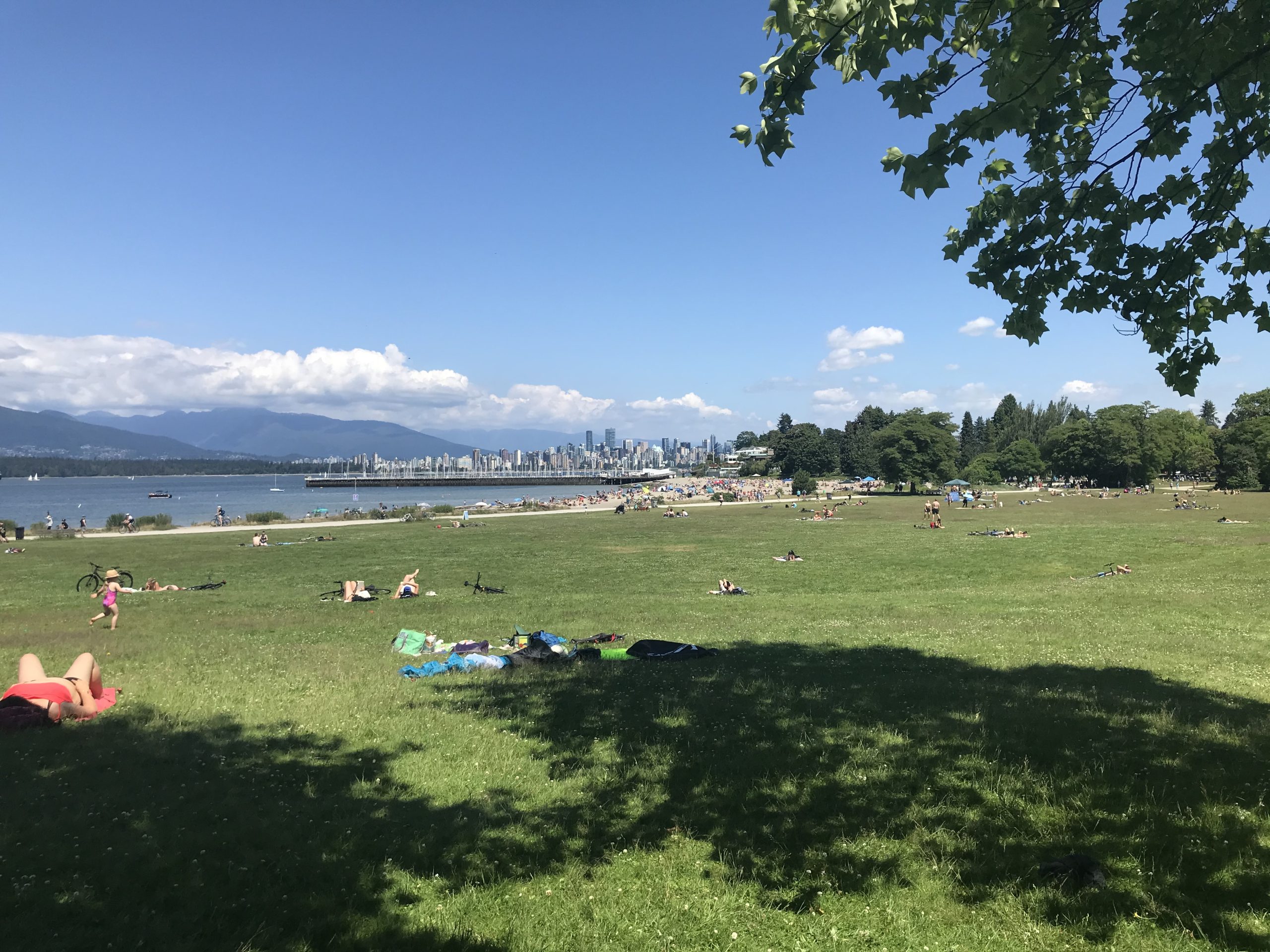 Jericho Beach Park | Vancouver BC | Homes Almanac