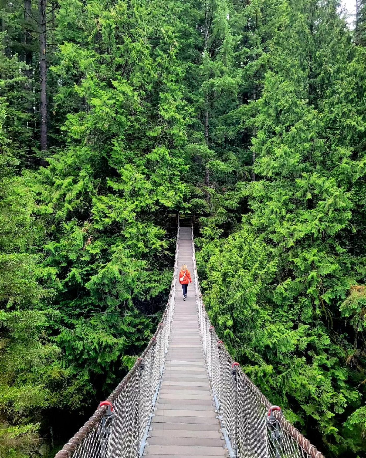 Lynn Canyon Park | North Vancouver, BC | Homes Almanac