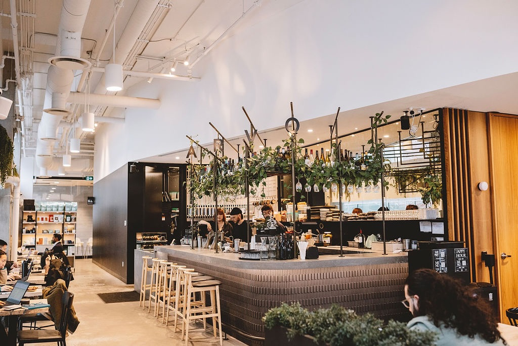 Arvo Coffee in Liberty Village | A brightly lit barista bar with greenery hanging from the ceiling, and bar seating | Homes Almanac