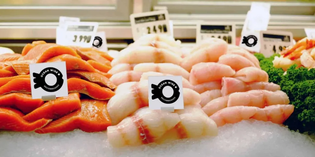 The Fish Counter on Main St. | A close up shot of fish in a glass counter window | Homes Almanac